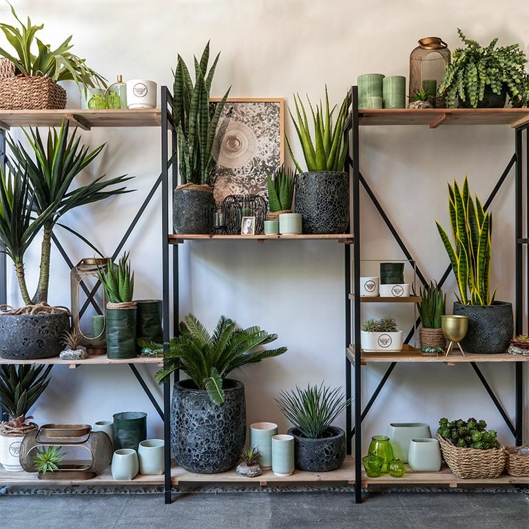 Vosteen • Floristenbedarf • themenwelt jungle feelings spring 2021 stimmungsbild