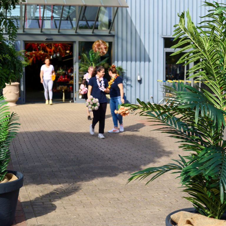 Vosteen • Floristenbedarf • Tropical Christmas: Review of Creativ in-house exhibition in September 2022 42 creativ-hausmesse-september-2022_impressionen-31