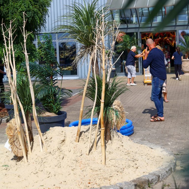 Vosteen • Floristenbedarf • Tropical Christmas: Review of Creativ in-house exhibition in September 2022 21 creativ-hausmesse-september-2022_impressionen-52