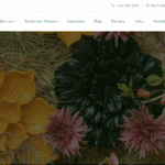 Die neue Website von Vosteen