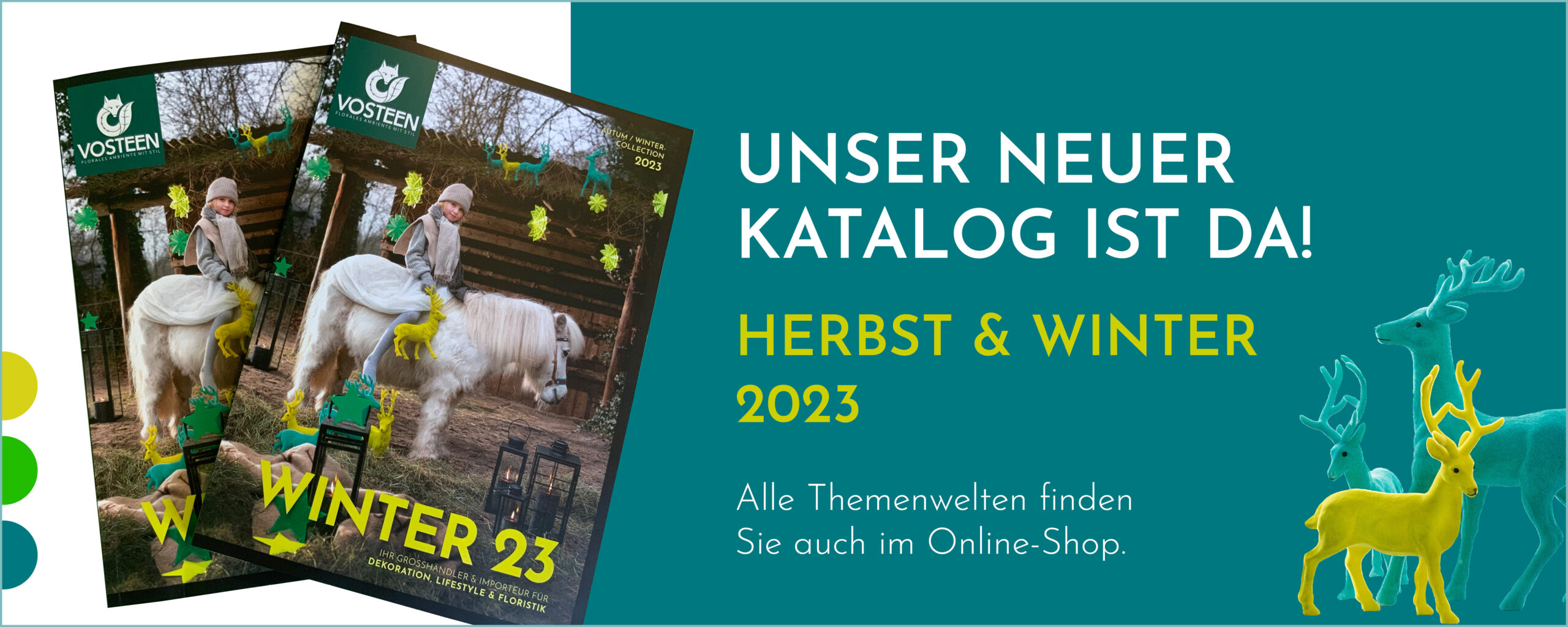 Vosteen • Floristenbedarf • Shop home 1450x6009 1 scaled