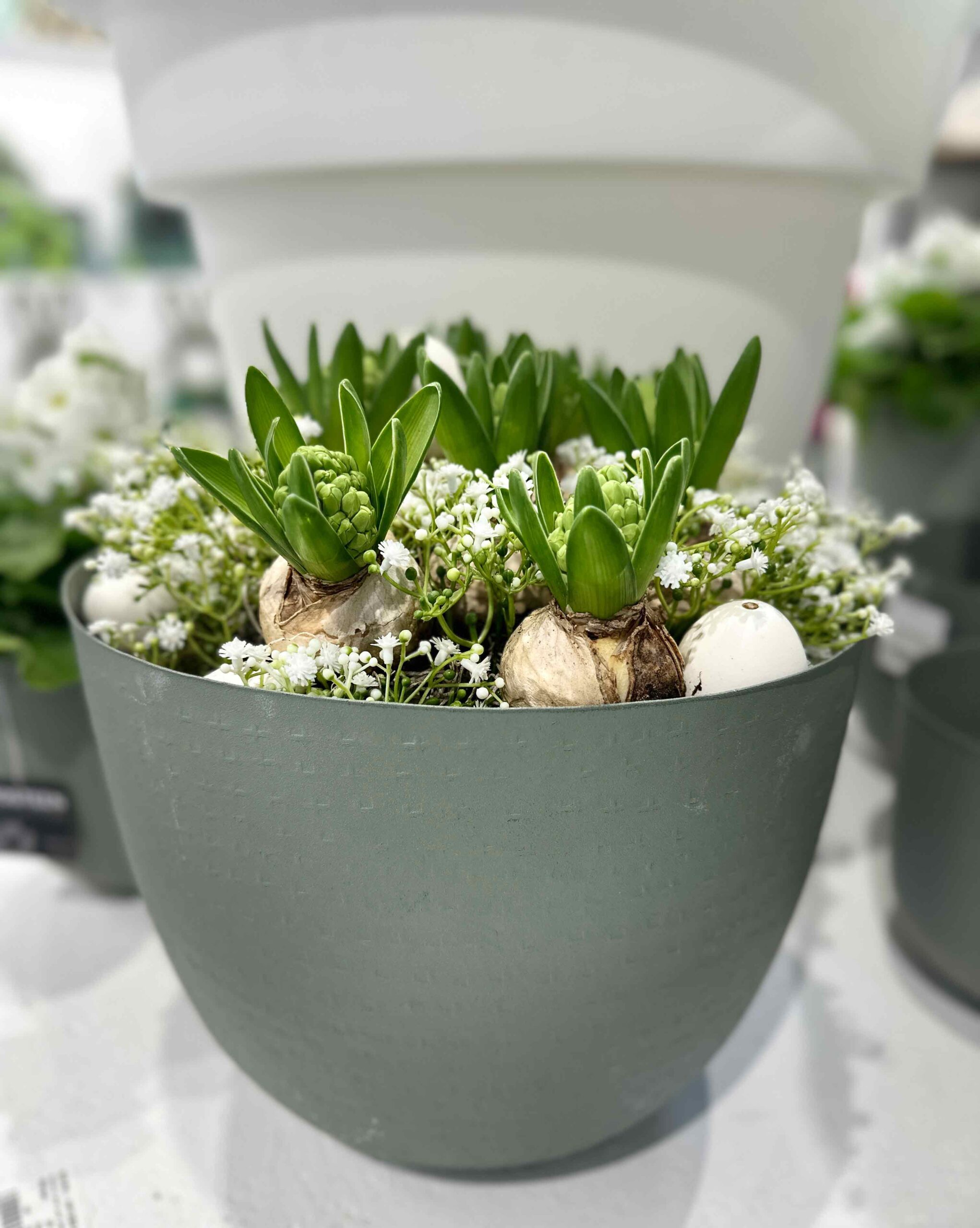 Vosteen • Floristenbedarf • Impressive Trendset trade fair in Munich and preview of the Nordstil trade fair in Hamburg! 18 Vosteen • Floristenbedarf • vosteen messe trendset 2024 23 scaled