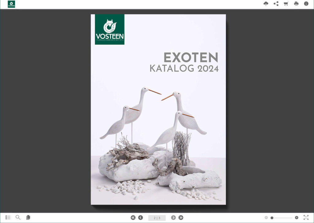 Vosteen • Floristenbedarf • vosteen Blaetterkatalog Exoten 2024
