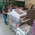Saskia and Yvonne at work