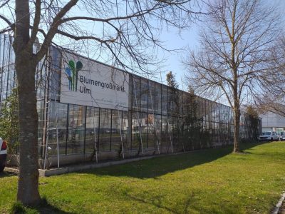 Flower Wholesale Ulm